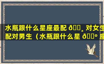 水瓶跟什么星座最配 🌸 对女生配对男生（水瓶跟什么星 🌺 座最配对指数）